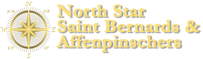 North Star Saint Bernards Logo